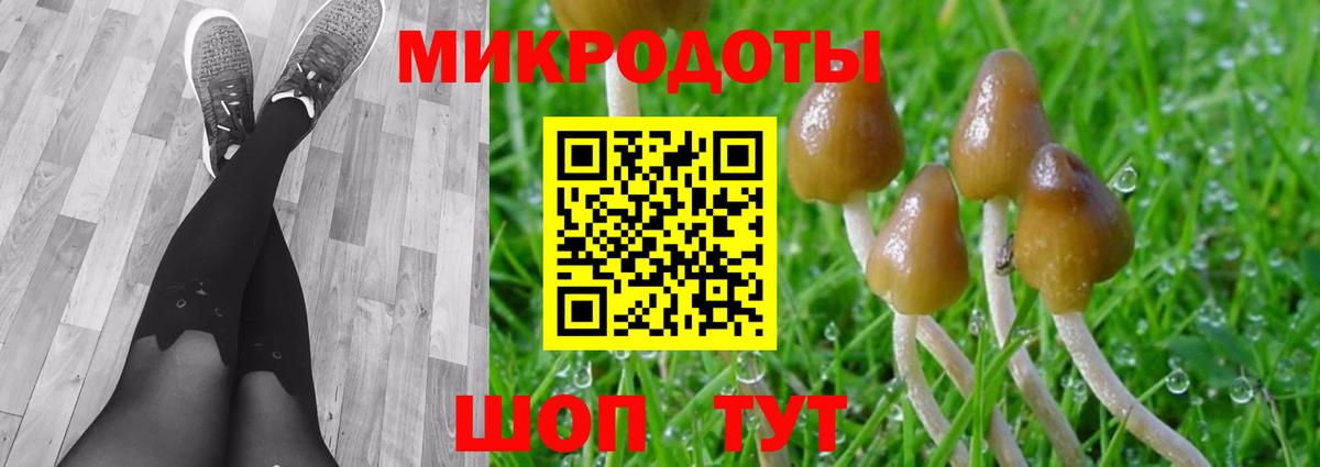 Псилоцибиновые грибы Psilocybine cubensis  Вход с VPN  Тольятти 